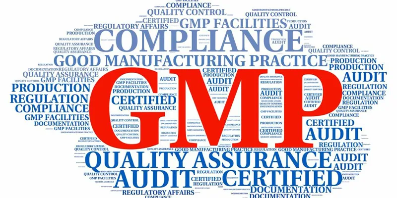 GMP Regulatory Requirements GMP Regulatory Requirements